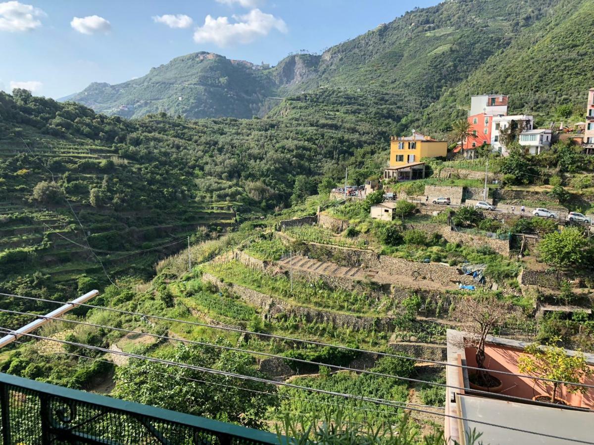 La Porta Sul Taragio Διαμέρισμα Corniglia Εξωτερικό φωτογραφία